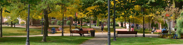 Center for the Study of Culture and Values