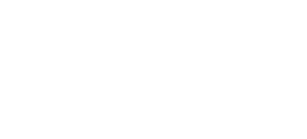 Western CT State University Wolves Logo